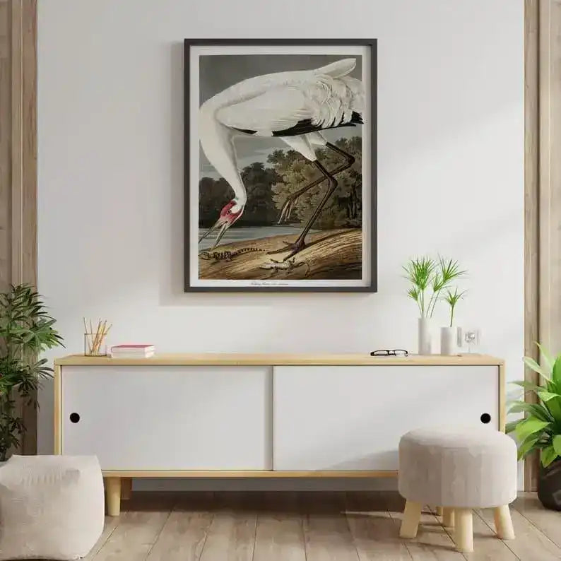 Vintage Bird Art Prints| Bird Poster