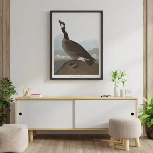 Vintage Bird Art Prints| Bird Poster