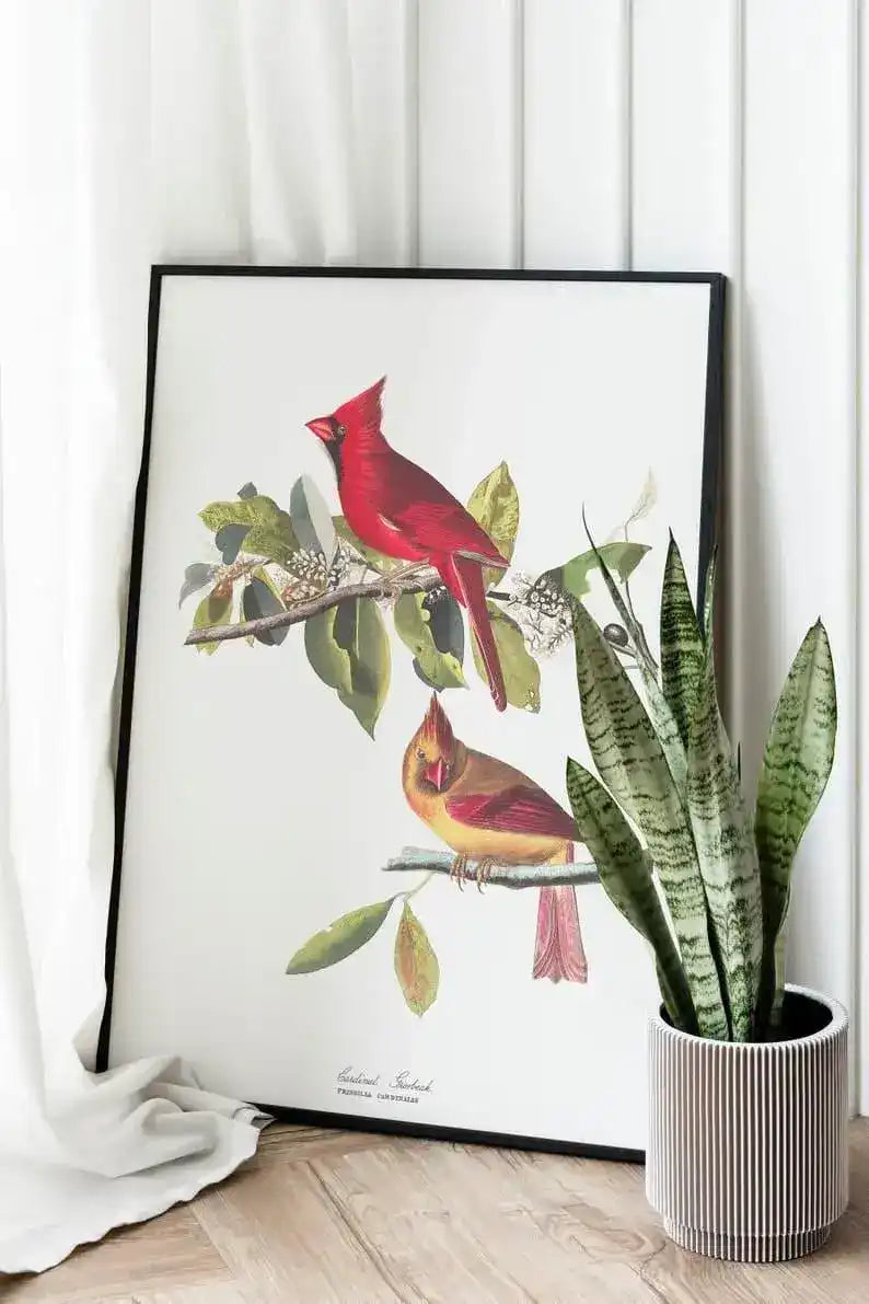 Vintage Bird Art Prints| Bird Poster