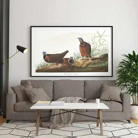 Vintage Bird Art Prints| Bird Poster