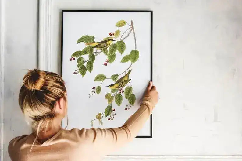 Vintage Bird Art Prints| Bird Poster