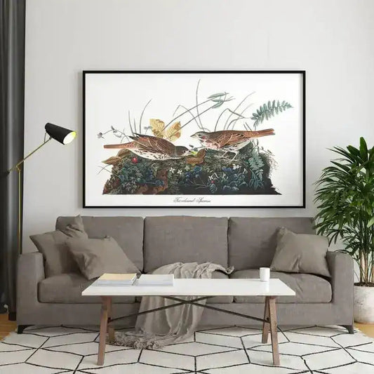 Vintage Bird Art Prints| Bird Poster