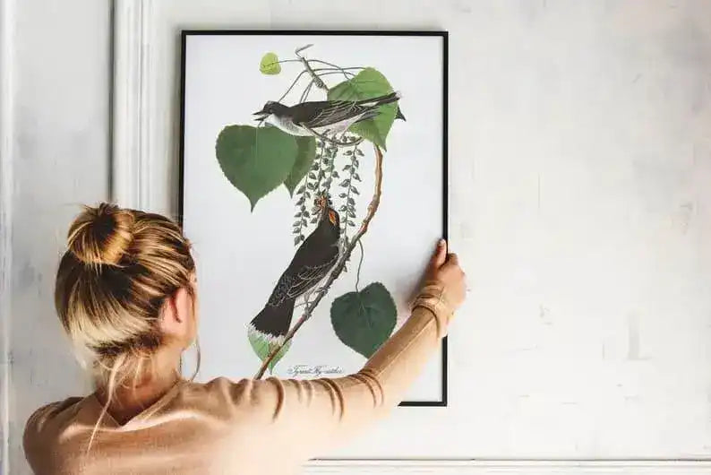 Vintage Bird Art Prints| Bird Poster