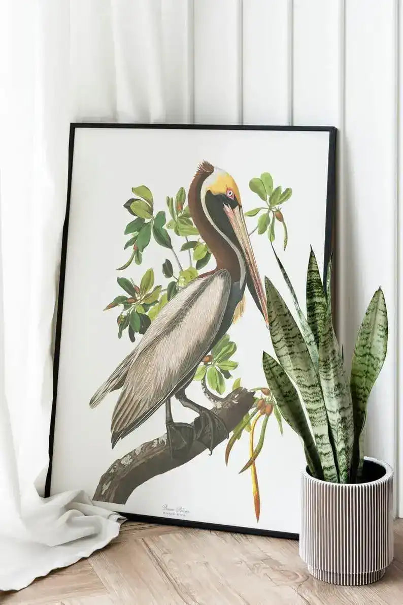 Vintage Bird Art Prints| Bird Poster