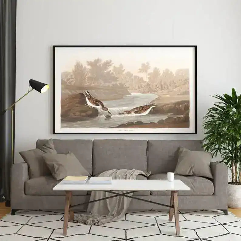 Vintage Bird Art Prints| Bird Poster