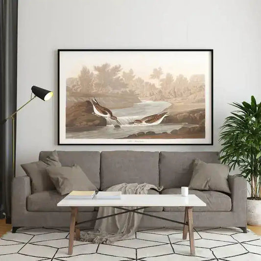 Vintage Bird Art Prints| Bird Poster