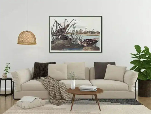 Vintage Bird Art Prints| Bird Poster