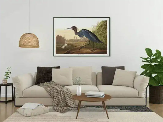 Vintage Bird Art Prints| Bird Poster