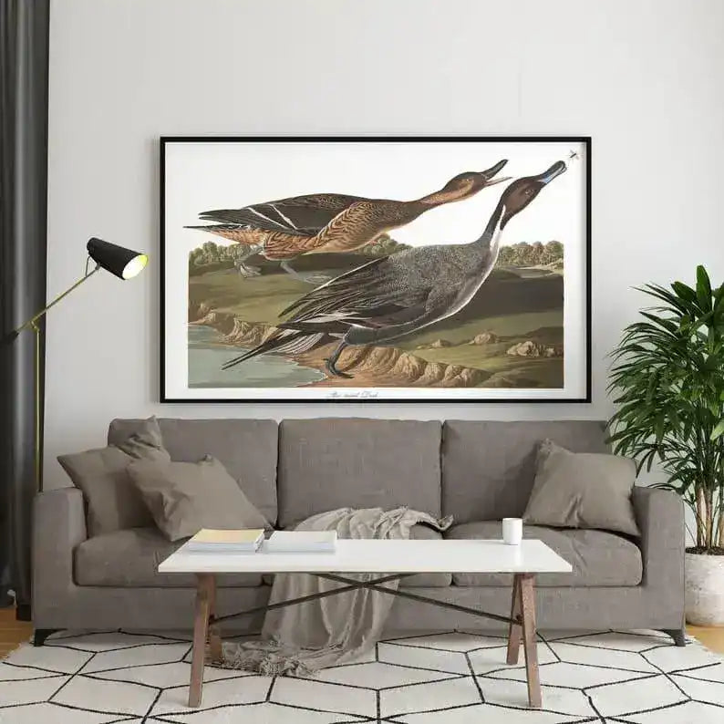 Vintage Bird Art Prints| Bird Poster