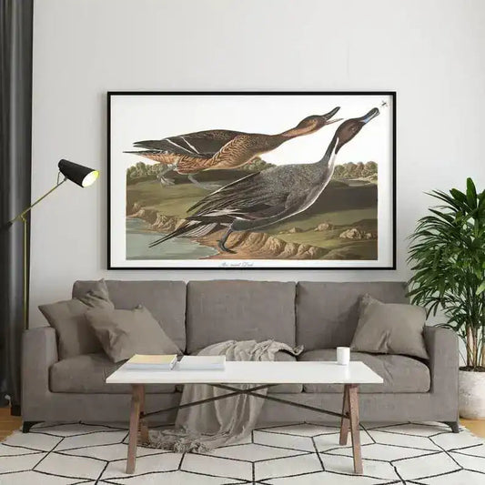 Vintage Bird Art Prints| Bird Poster