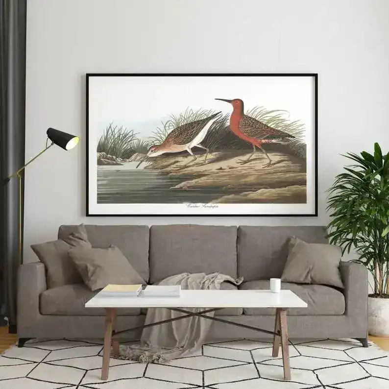 Vintage Bird Art Prints| Bird Poster