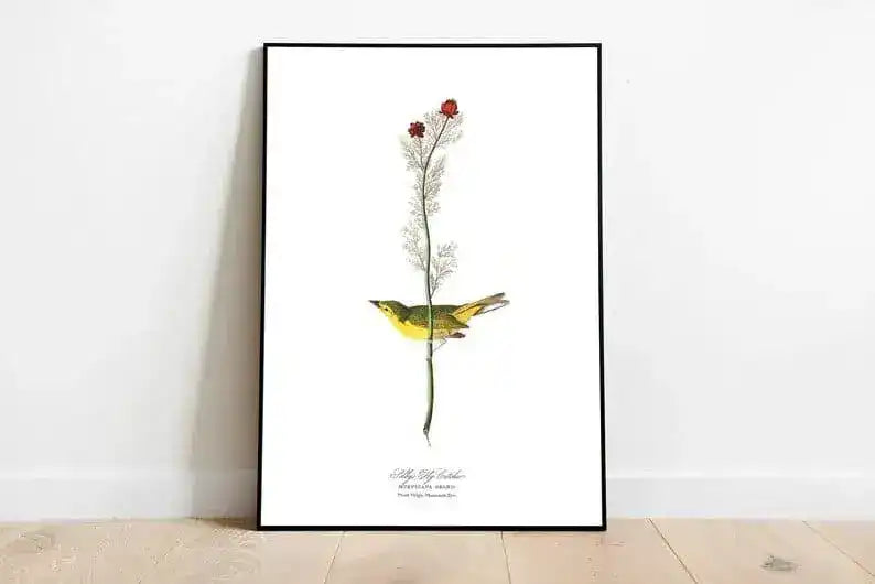 Vintage Bird Art Prints| Bird Poster