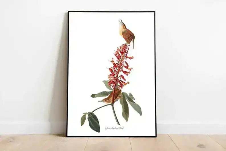 Vintage Bird Art Prints| Bird Poster