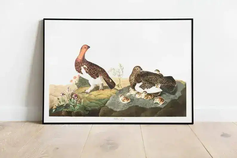 Vintage Bird Art Prints| Bird Poster