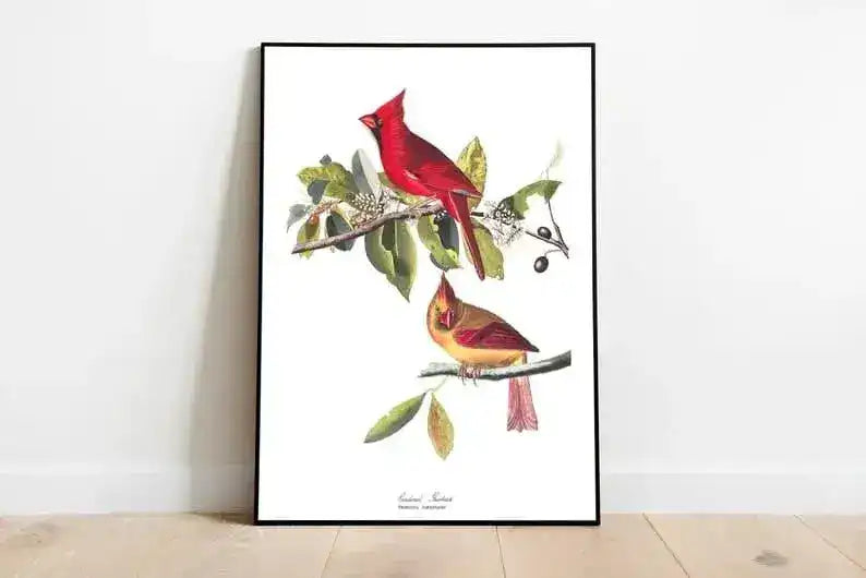 Vintage Bird Art Prints| Bird Poster