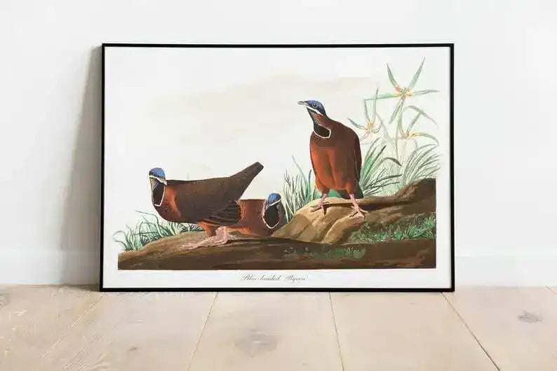 Vintage Bird Art Prints| Bird Poster