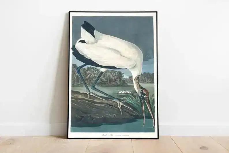 Vintage Bird Art Prints| Bird Poster