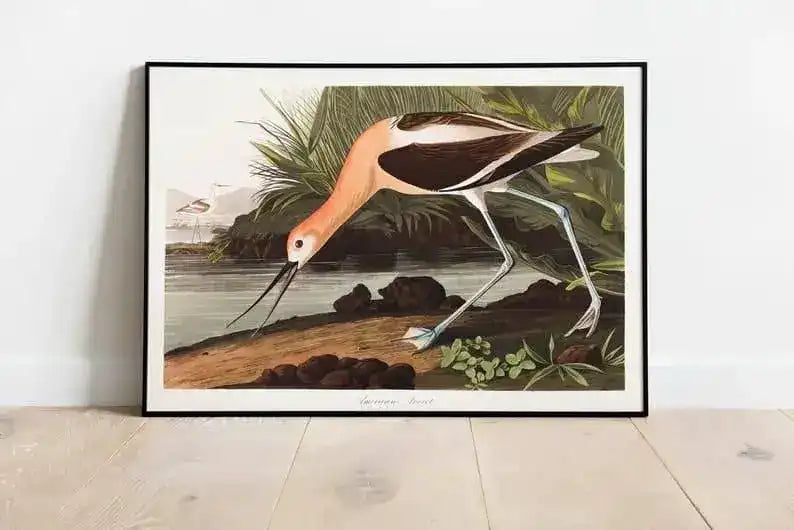 Vintage Bird Art Prints| Bird Poster