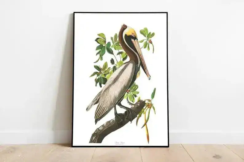 Vintage Bird Art Prints| Bird Poster