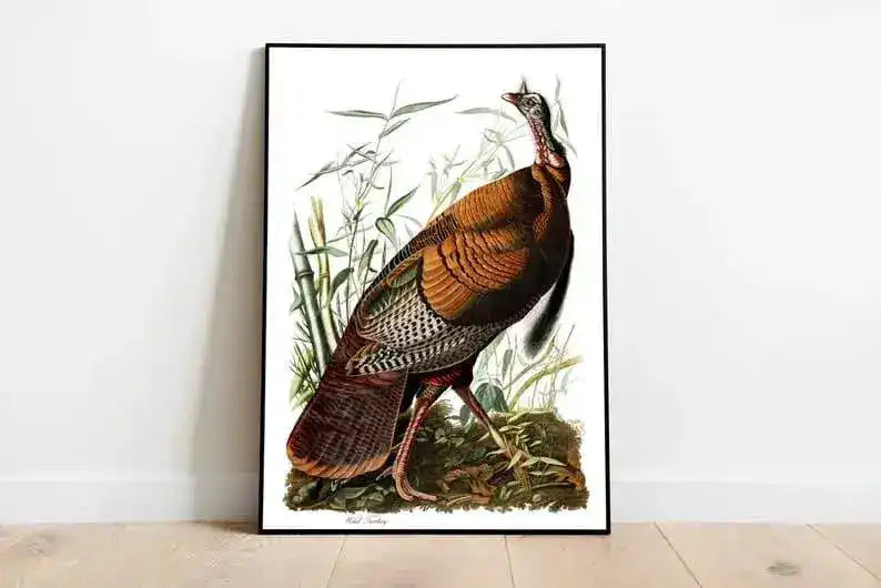 Vintage Bird Art Prints| Bird Poster
