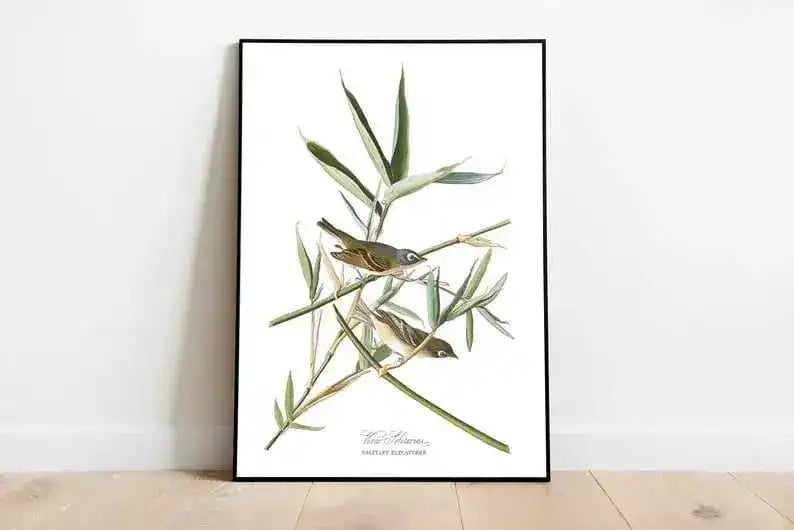 Vintage Bird Art Prints| Bird Poster