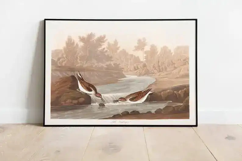 Vintage Bird Art Prints| Bird Poster