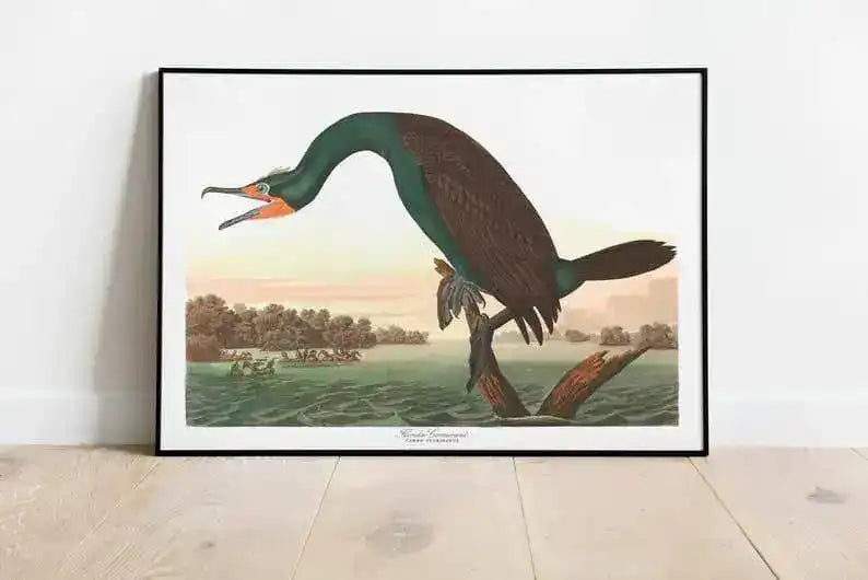 Vintage Bird Art Prints| Bird Poster