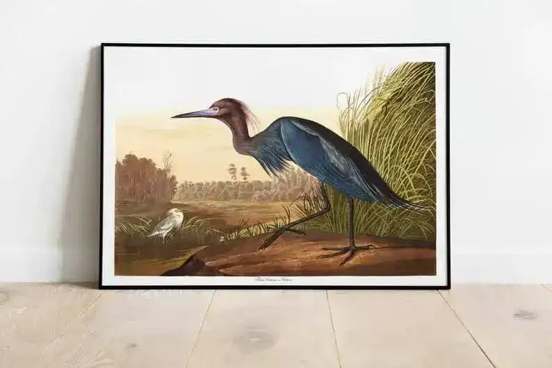 Vintage Bird Art Prints| Bird Poster