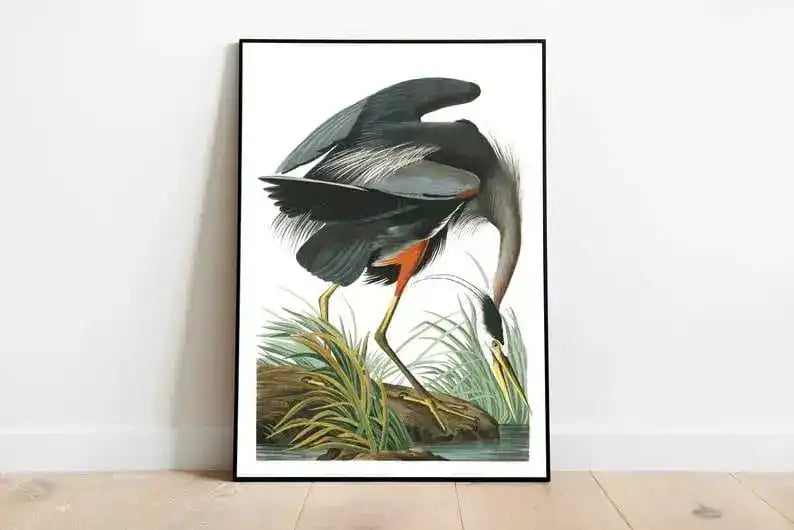 Vintage Bird Art Prints| Bird Poster