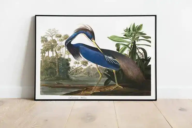 Vintage Bird Art Prints| Bird Poster