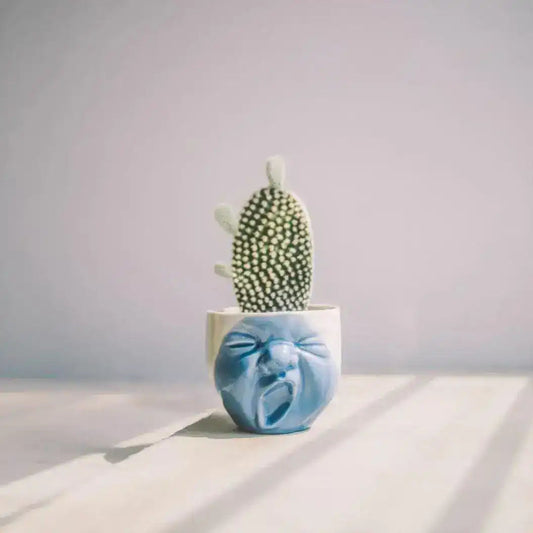 Yawning Face Porcelain Cactus Planter